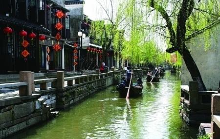 百度知道鸭盲盒长什么样?-专业问答社区